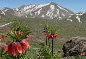 ارتفاعات-و-قله-سلطان‌داغی-—-اسکو