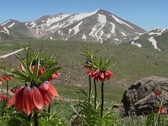 ارتفاعات-و-قله-سلطان‌داغی-—-اسکو