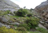 بقایای-قلعه-هولاکوخان-—-اسکو