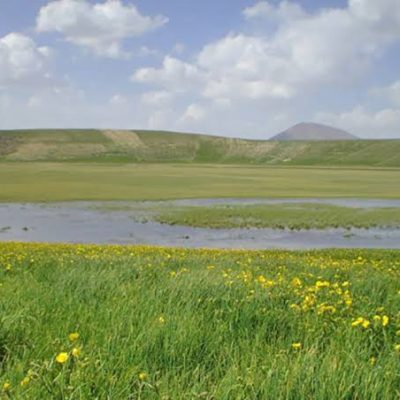 تالاب-آلمالوگلی-—-بستان_آباد