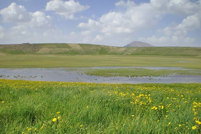 تالاب-آلمالوگلی-—-بستان_آباد