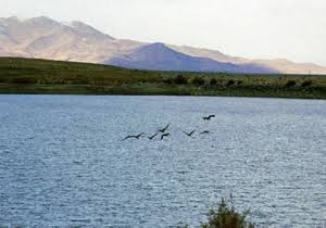 تالاب-قوپی_-باباعلی-–-روستای-قوپی_-باباعلی-–-مهاباد