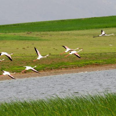 تالاب-گنجگاه-–-اردبیل