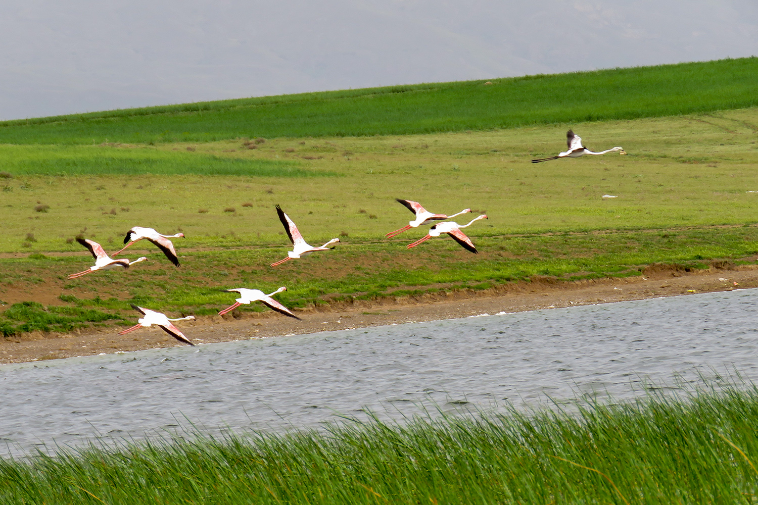 تالاب-گنجگاه-–-اردبیل