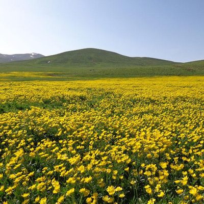 تفرجگاه-ماهار-زنوز-1
