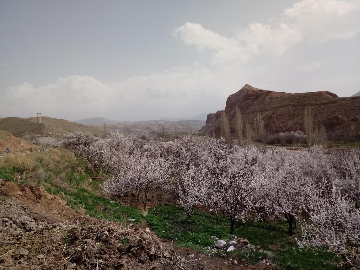 تفرجگاه-ماهار-زنوز