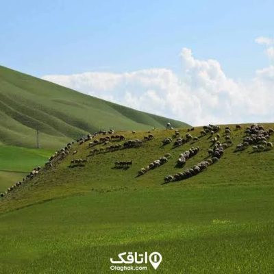 تپه-بوران-–-اصلاندوز