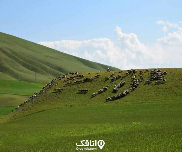 تپه-بوران-–-اصلاندوز