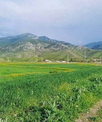 تپه_های-تاریخی-گوزل_لی-–-اصلاندوز