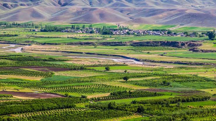 جنگل-گوشلو-–-روستای-گوشلو-–-پارس_آباد