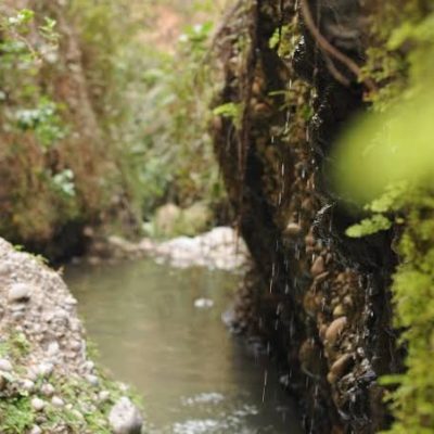 دره-انار-–-روستاهای-هزان-و-شورستان-–-انگوت