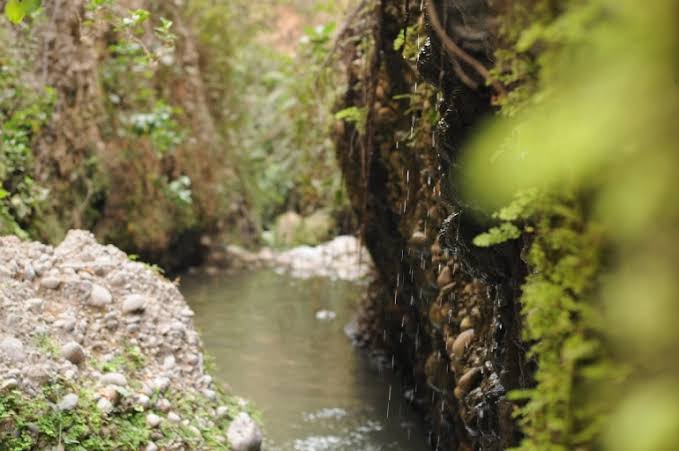 دره-انار-–-روستاهای-هزان-و-شورستان-–-انگوت