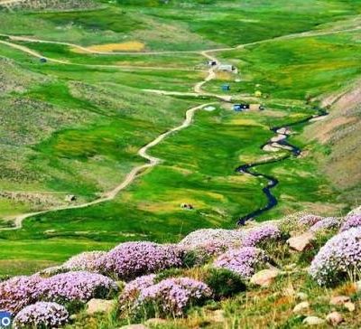 دره-شاهیوردی-—-بستان_آباد