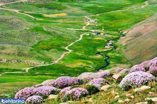 دره-شاهیوردی-—-بستان_آباد
