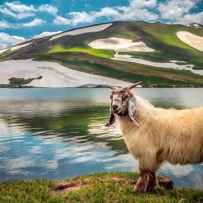 دریاچه-دالامپر-–-ارومیه