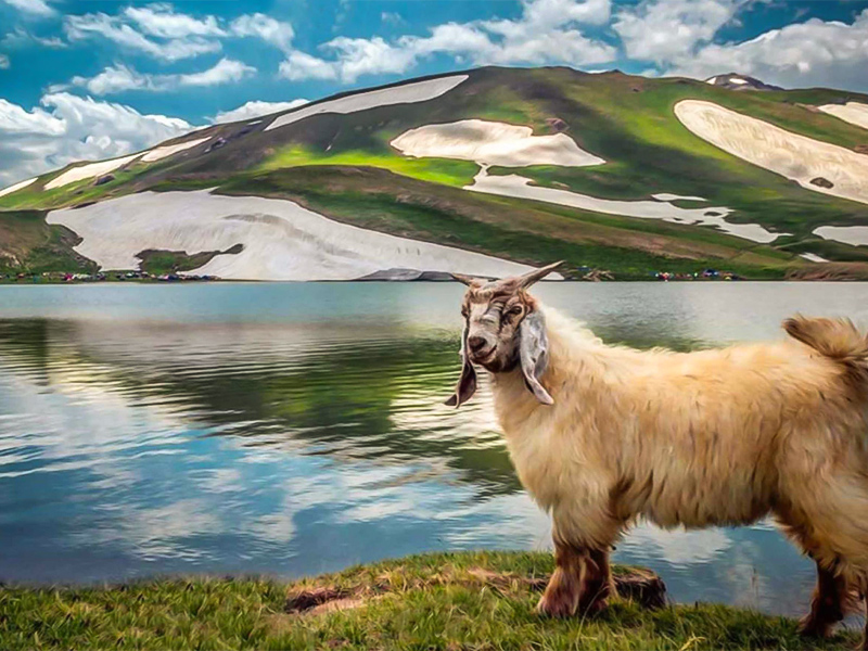 دریاچه-دالامپر-–-ارومیه