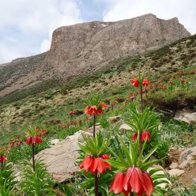 دژ-تاریخی-قلات_-شاه-–-مهاباد