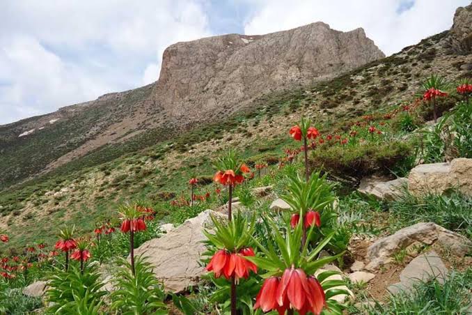 دژ-تاریخی-قلات_-شاه-–-مهاباد