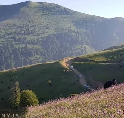 شیطان_تپه-–-منطقه-شیطان_تپه-–-چاراویماق