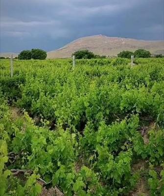 منطقه-طبیعی-و-کوه-باباگرگر-–-لیلان