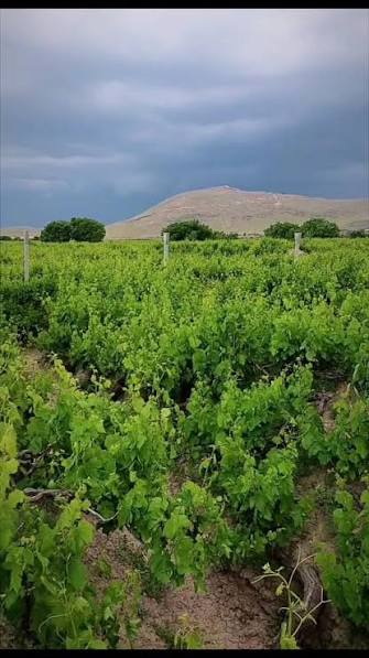 منطقه-طبیعی-و-کوه-باباگرگر-–-لیلان