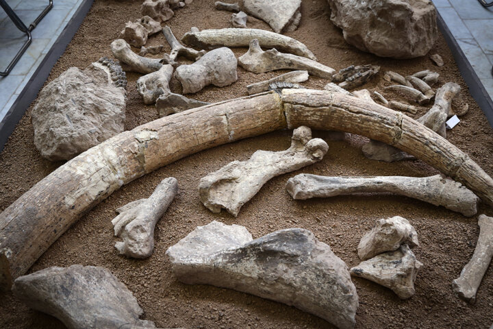 منطقه-فسیلی-مراغه-و-موزه-صحرایی-–-روستای-مردق-–-مراغه