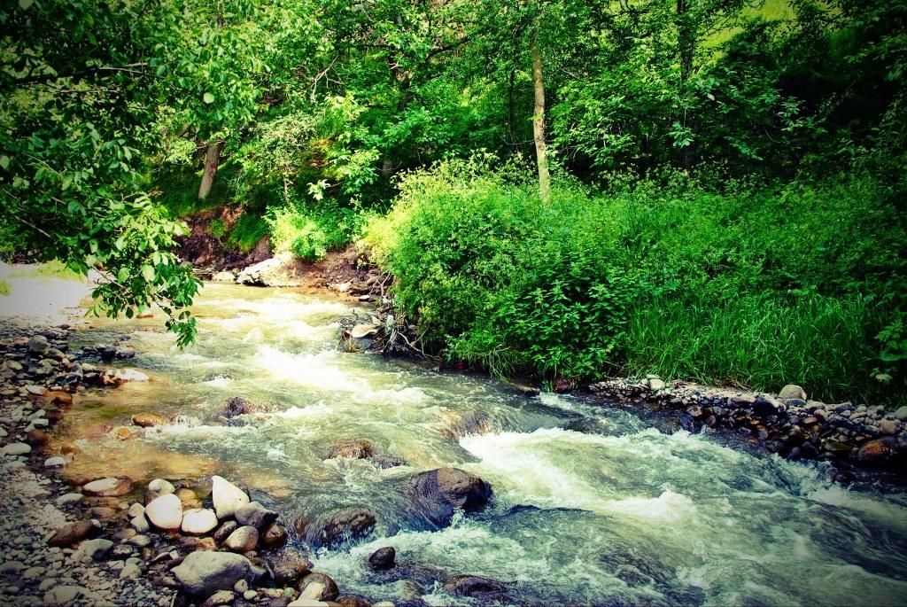 منطقه-گردشگری-قیرمیزی-گول