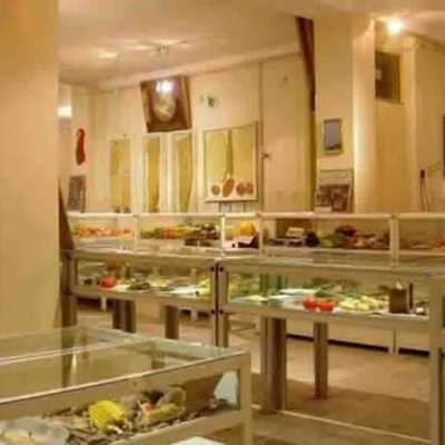 موزه-استاد-بهتونی-—-تبریز