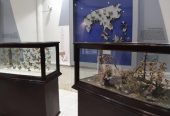 موزه-تاریخ-طبیعی-تبریز-—-تبریز-1