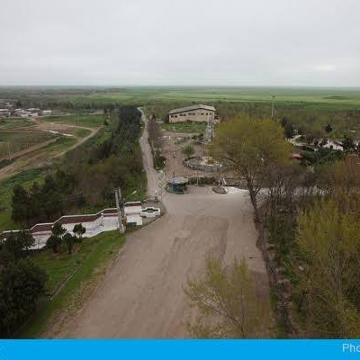 نرگس_تپه_سی-–-بیله_سوار