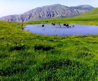 چشمه-داشلی_بولاغ-–-دیزج-–-گرمی