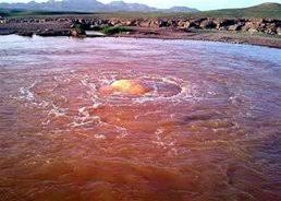 چشمه-ساری_دره-—-بستان_آباد