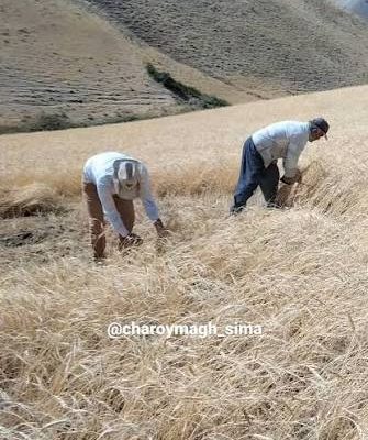 گنبد-آغچه_ریش-–-روستای-آغچه_ریش-–-چاراویماق