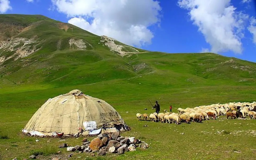 ییلاق-ایل-بسطاملو-–-کلیبر