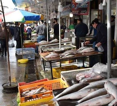 بازار-بزرگ-ماهی‌فروشان-فریدون‌کنار-–-فریدون‌کنار