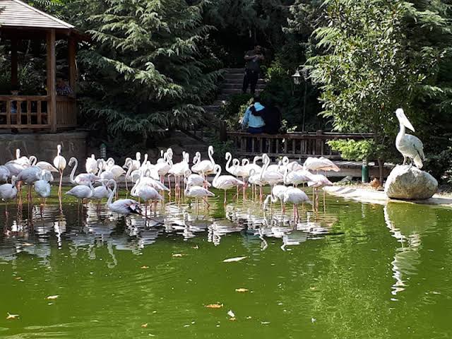 باغ-پرندگان-تهران-–-تهران