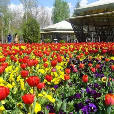 باغ-گل‌های-پارک-شهید-چمران-–-کرج