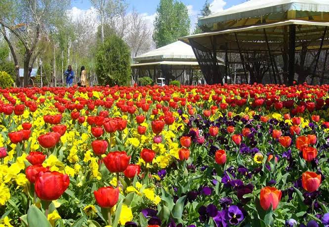 باغ-گل‌های-پارک-شهید-چمران-–-کرج