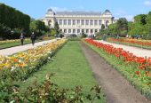 باغ-گیاهان-پاریس-و-مجموعه-موزه‌های-آن-–-Jardin-des-Plantes-–-Jardin-des-Plantes-–-پاریس-–-Ile-de-France