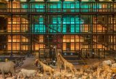باغ-گیاهان-پاریس-و-مجموعه-موزه‌های-آن-–-Jardin-des-Plantes-–-Jardin-des-Plantes-–-پاریس-–-Ile-de-France-3