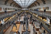 باغ-گیاهان-پاریس-و-مجموعه-موزه‌های-آن-–-Jardin-des-Plantes-–-Jardin-des-Plantes-–-پاریس-–-Ile-de-France-4
