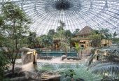 باغ‌وحش-بووال-–-ZooParc-de-Beauval-–-ZooParc-de-Beauval-–-سن‌اگنان،-Loir-et-Cher-–-Centre-Val-de-Loire-1