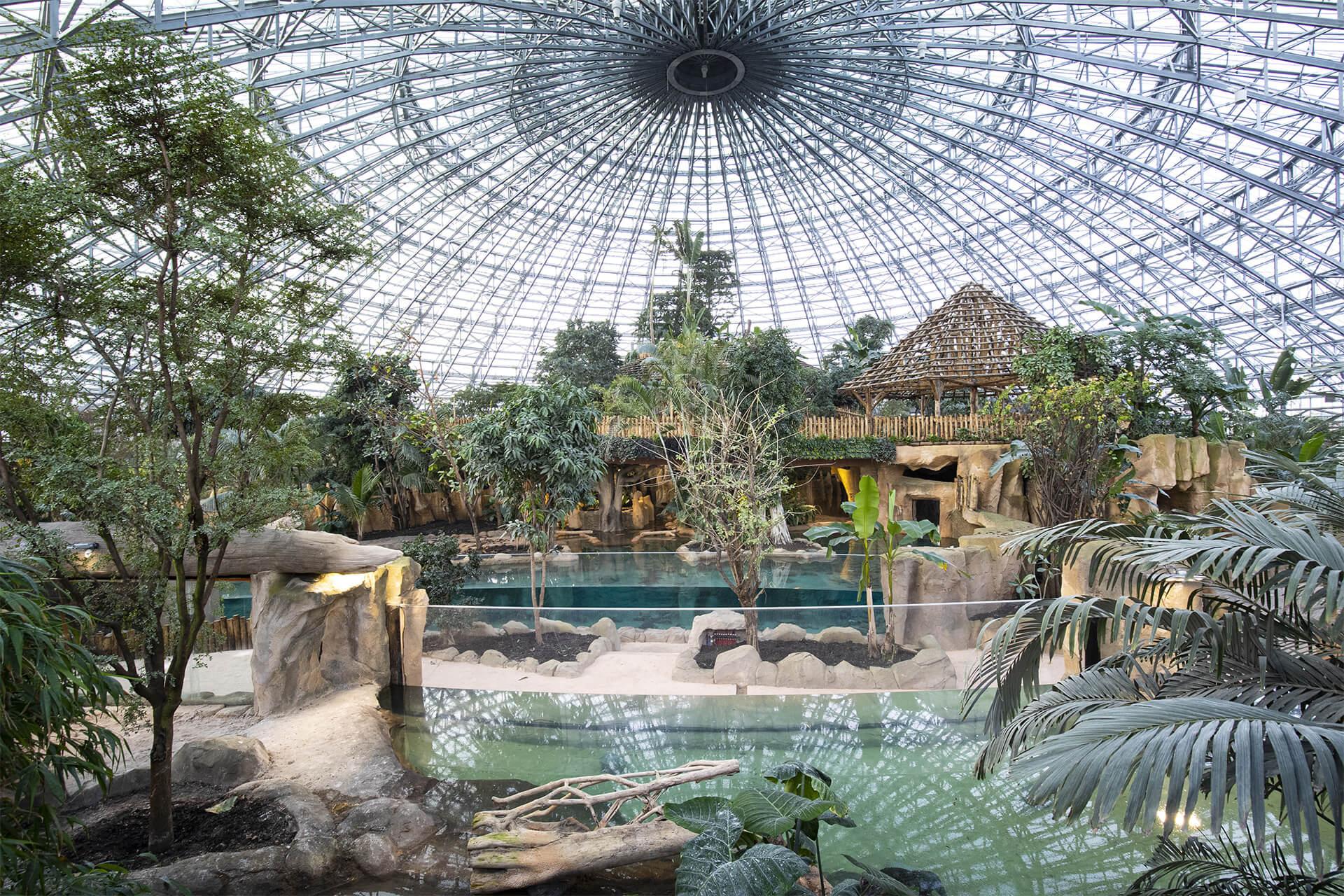 باغ‌وحش-بووال-–-ZooParc-de-Beauval-–-ZooParc-de-Beauval-–-سن‌اگنان،-Loir-et-Cher-–-Centre-Val-de-Loire-1