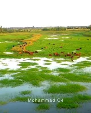 تالاب-هندخاله-–-هندخاله-–-صومعه‌سرا