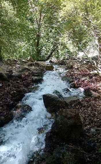 تفرجگاه-بناب-–-روستای-دهمورد-–-شهرستان-بختگان
