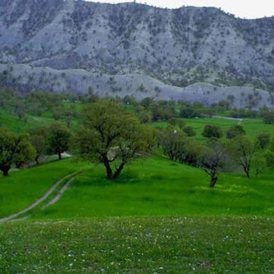 تفرجگاه-جنگلی-ششدار-–-ایلام