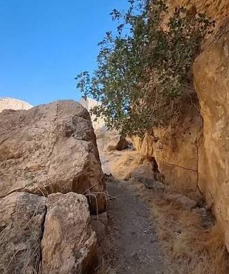 تنگ-له-قلات-–-شهرستان-کوار
