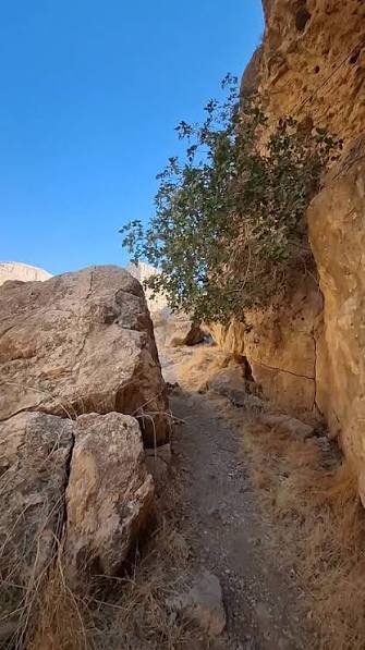 تنگ-له-قلات-–-شهرستان-کوار