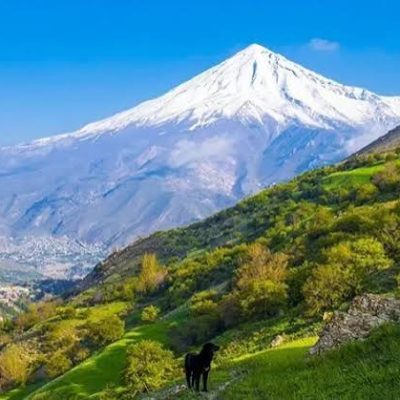 جنگل-آزو-–-کلاردشت
