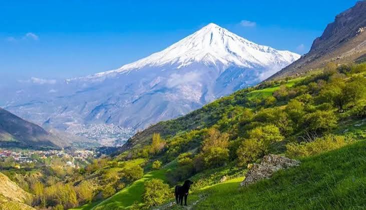 جنگل-آزو-–-کلاردشت